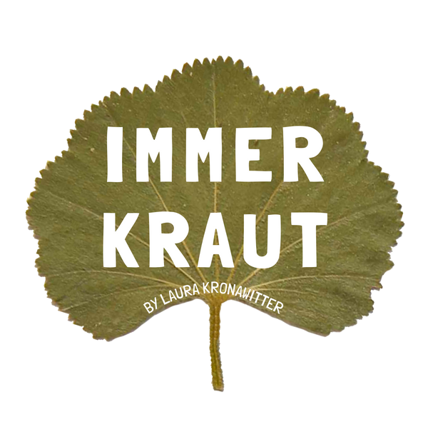 Immerkraut