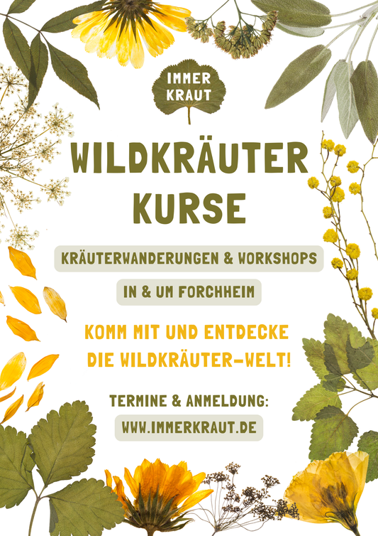 Kräuterwanderung - Forchheim & Umgebung