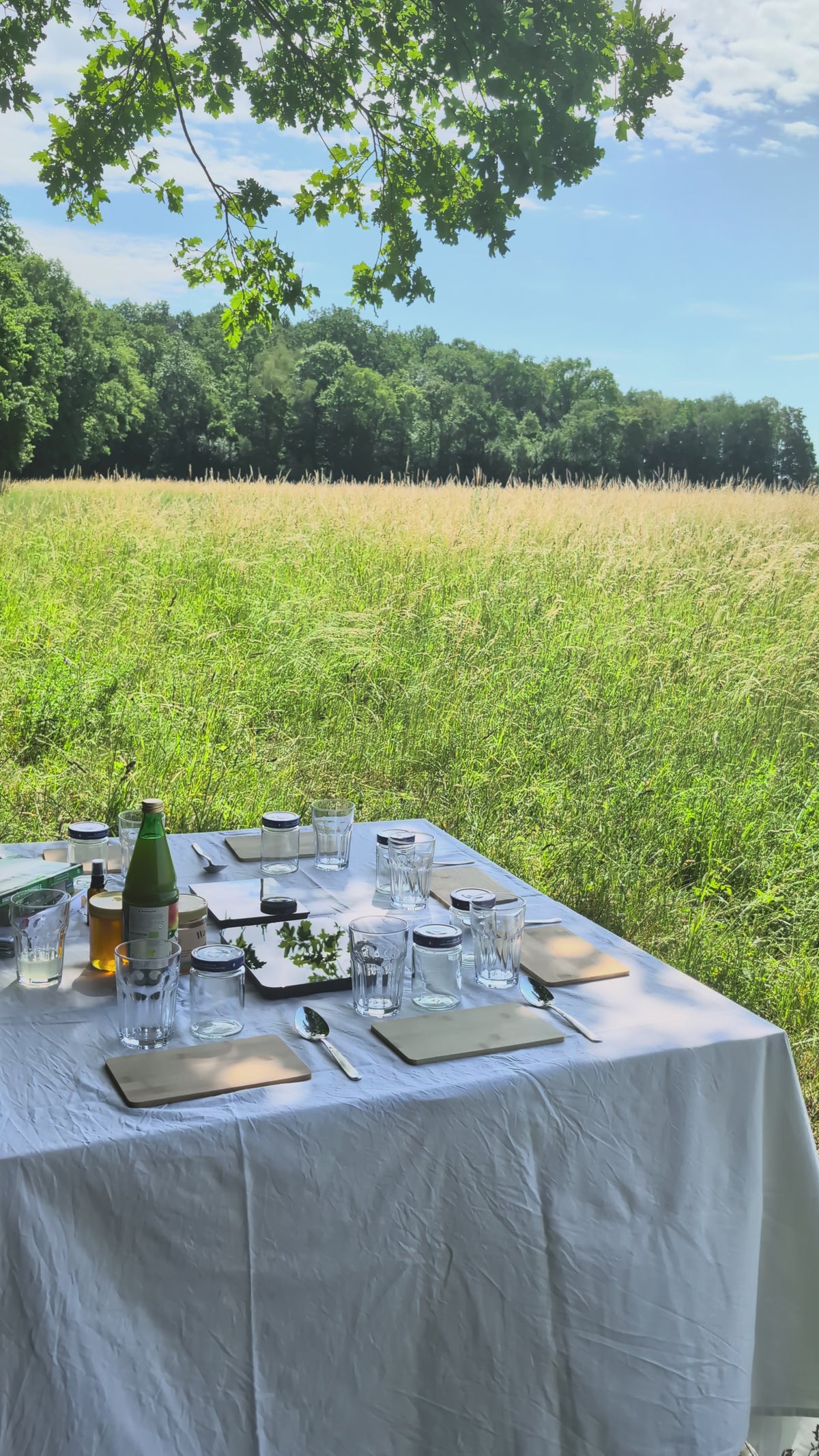 Kräuterwanderung - Forchheim & Umgebung